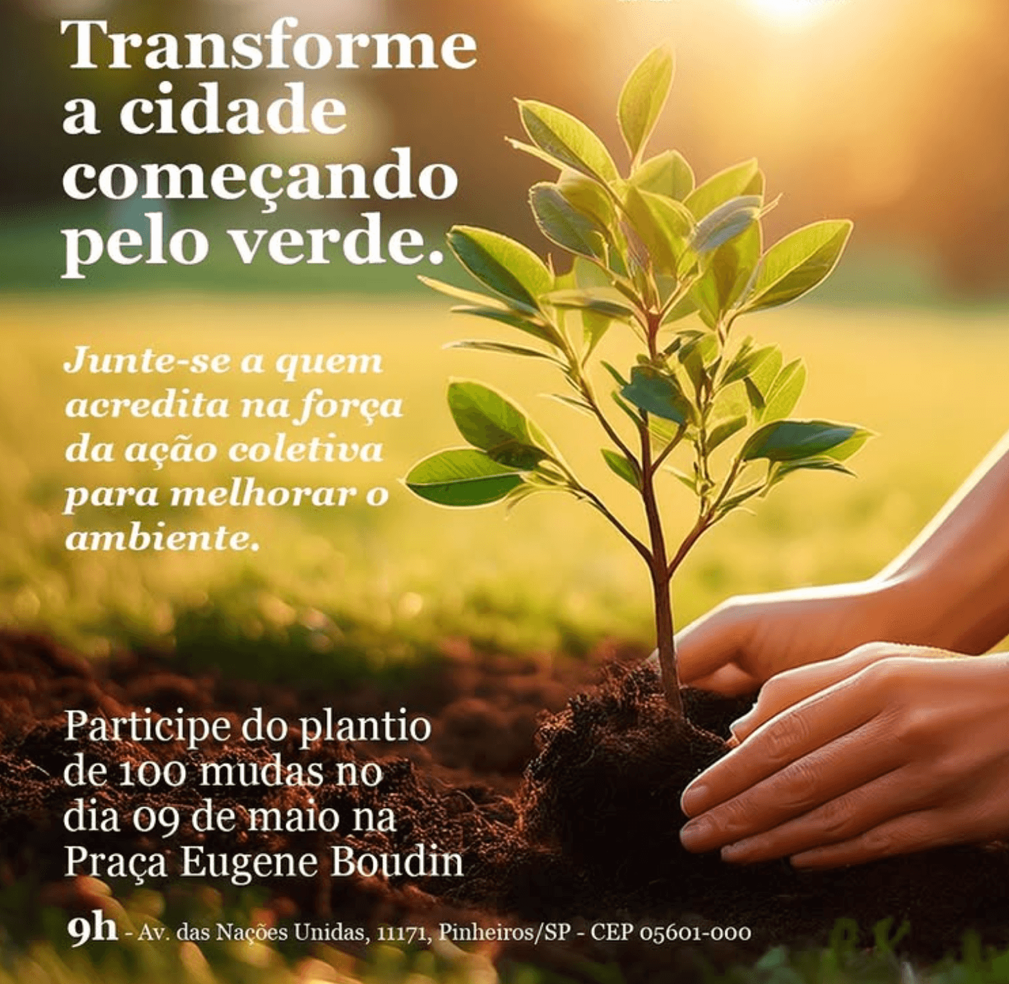 🌱 Projeto Plantio em Pinheiros